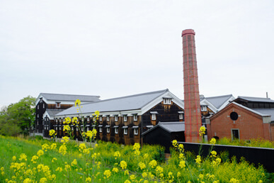 sake-brewery-tour